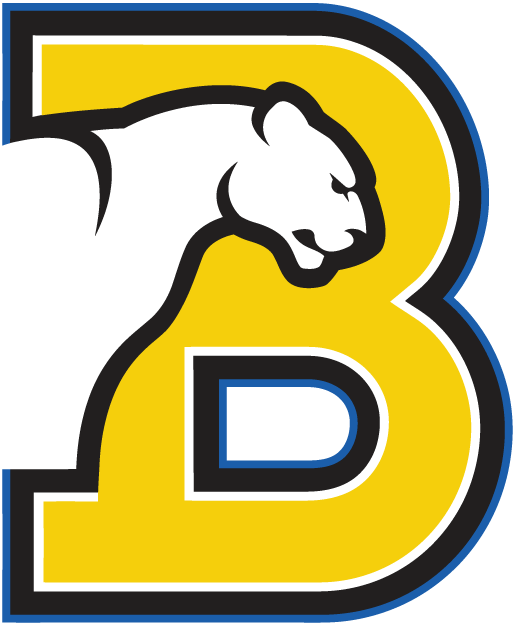 Birmingham-Southern Panthers logos iron-ons